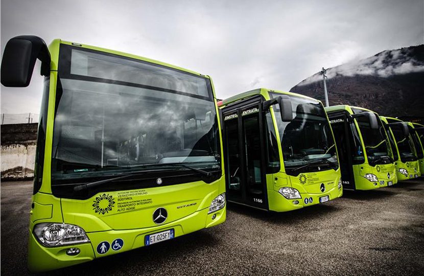 Grüne Nightliner Busse nebeneinander